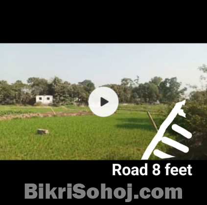 2.5 katha emergency sell